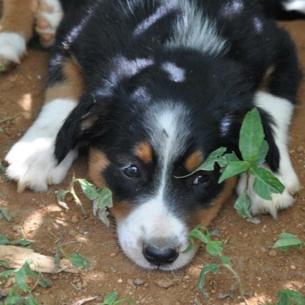 Meet your Posher, Gail
