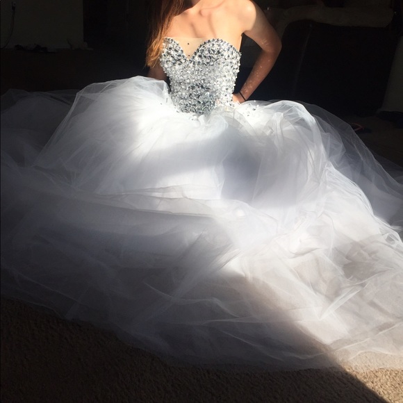 Meet your Posher, Sheyla - Picture 1 of 1