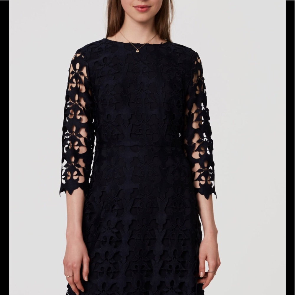 Ann Taylor loft cutout lace dress Ann Taylor loft cutout lace dress