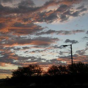 Meet your Posher, Sheila