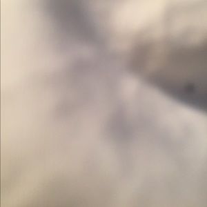 Meet your Posher, Oscar