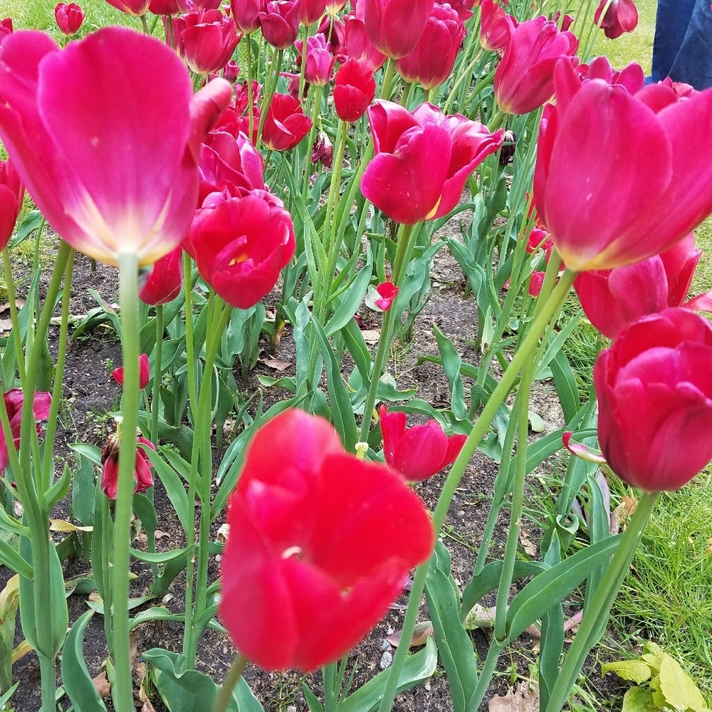 Meet your Posher, Delanie