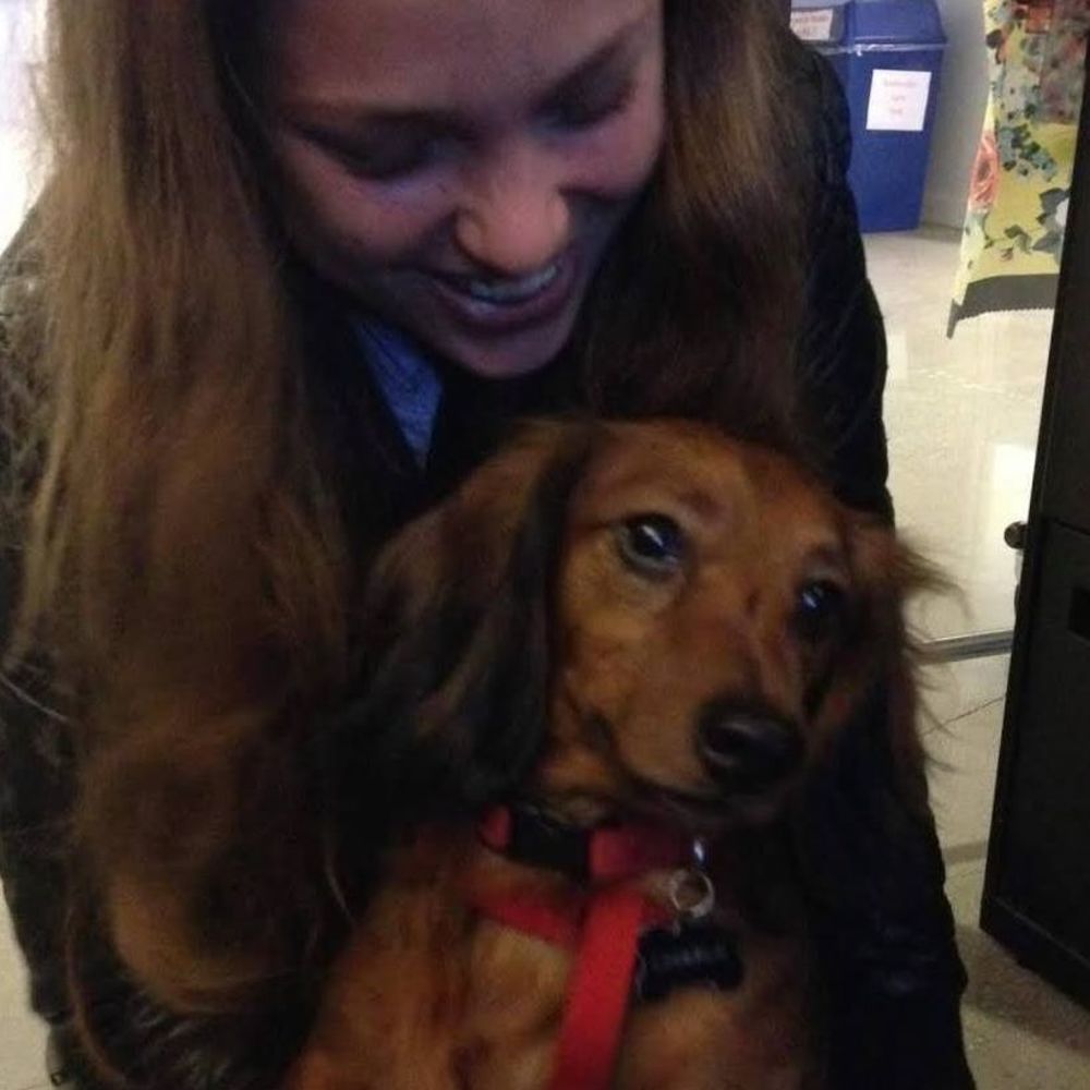 Meet your Posher, Elise