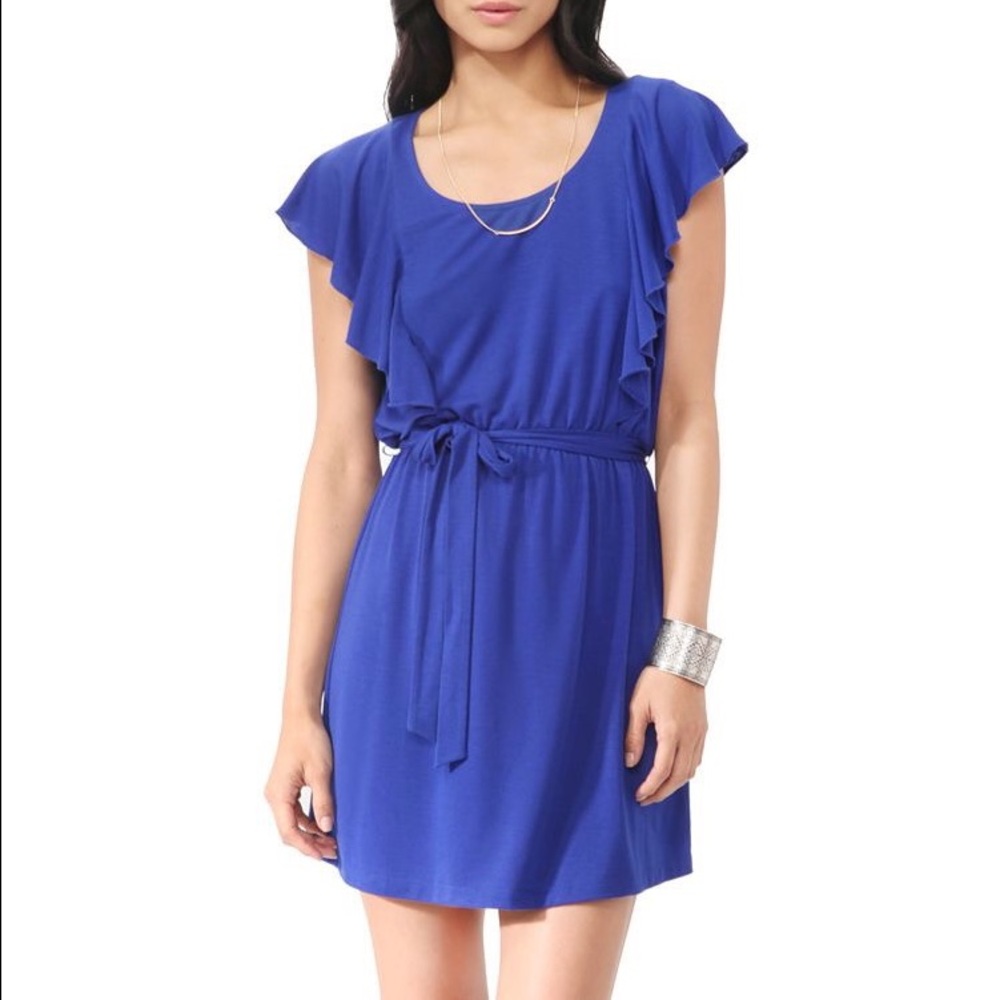 Flutter Sleeve Knit Dress