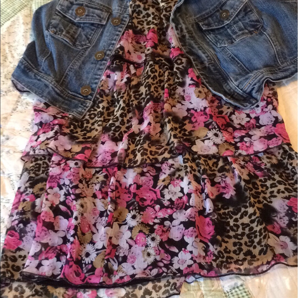 Dress/skirt and blue jean vest