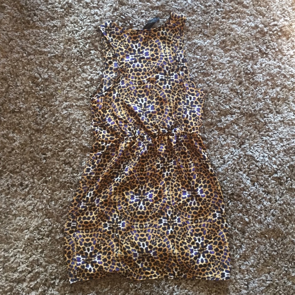 Leopard. Tank. With. Blue. Racing. Stripe. - Picture 2 of 2