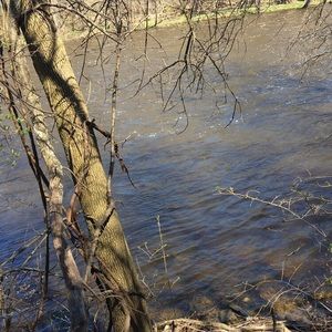 Meet your Posher, Cassidy