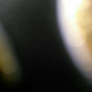 Meet your Posher, Marlene