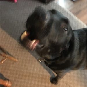 Meet your Posher, Laura