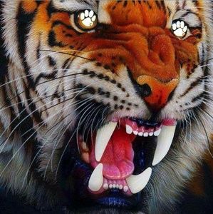 Meet your Posher, Sandra