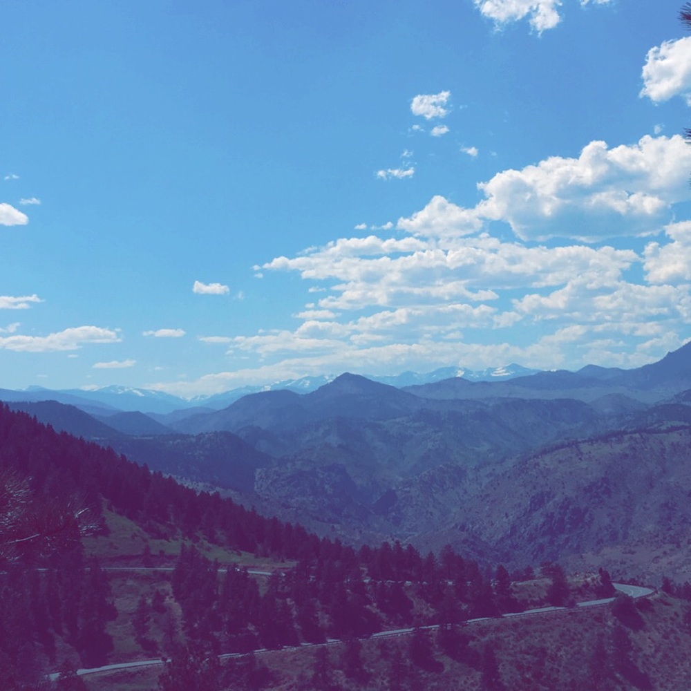 Meet your Posher, Tara