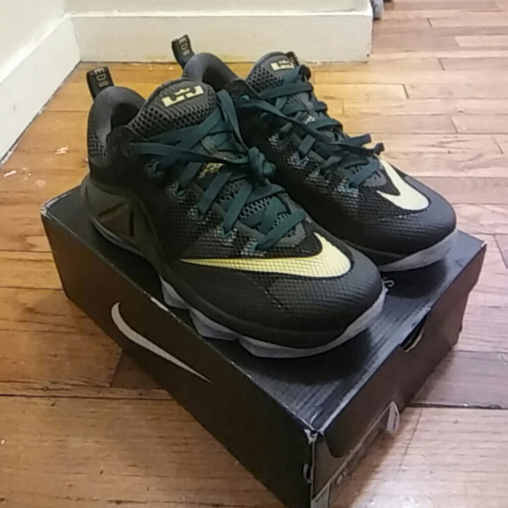 LeBron James 12