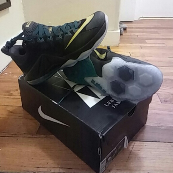LeBron James 12