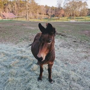 Meet your Posher, Erica