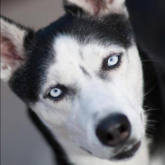 Meet your Posher, Danielle - Picture 2 of 2