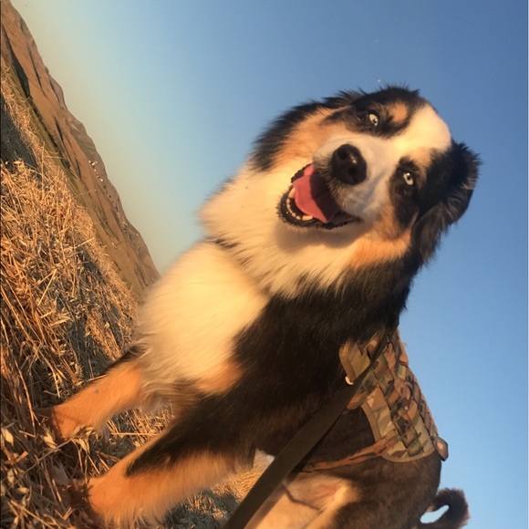 Meet your Posher, Amanda - Picture 7 of 8