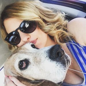 Meet your Posher, Cambria