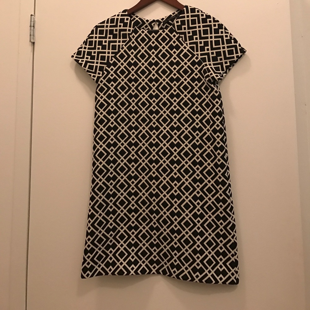 ZARA dress perfect for work