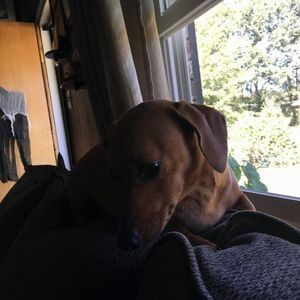 Meet your Posher, Debra