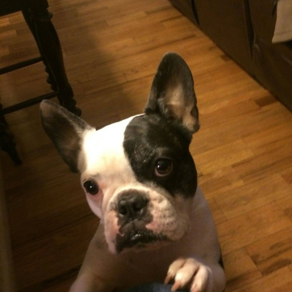 Meet your Posher, Karen