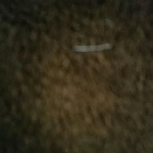 Meet your Posher, Bridget