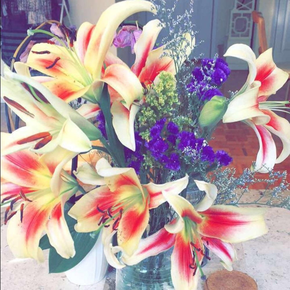 Meet your Posher, Dana