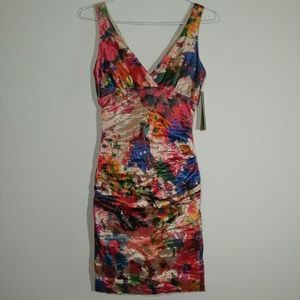 NWT Nicole Miller Dress