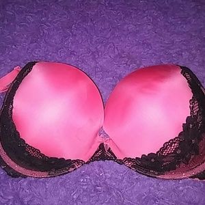 Torrid Bra