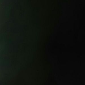 Meet your Posher, Eddie