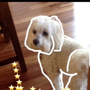 Meet your Posher, Bennett