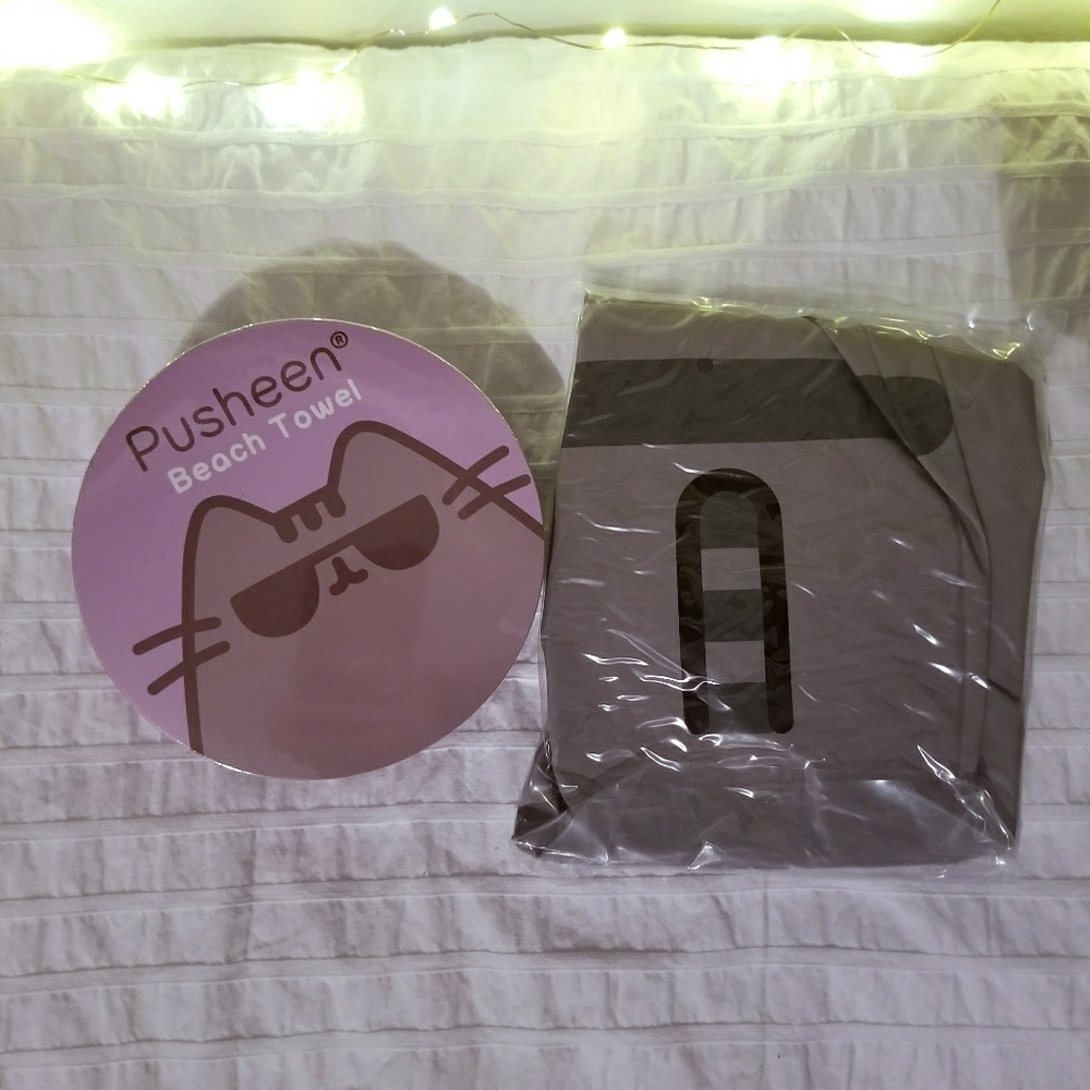 Pusheen beach towel and beach ball