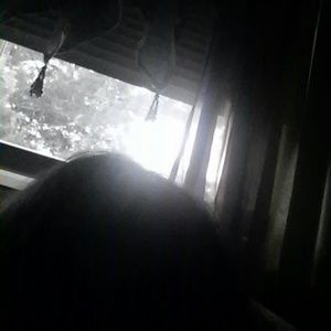 Meet your Posher, Peggy