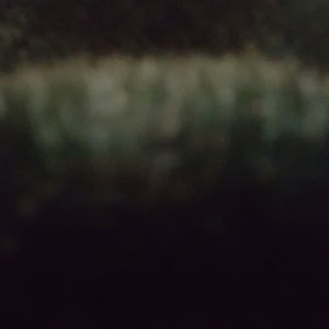 Meet your Posher, Luanne