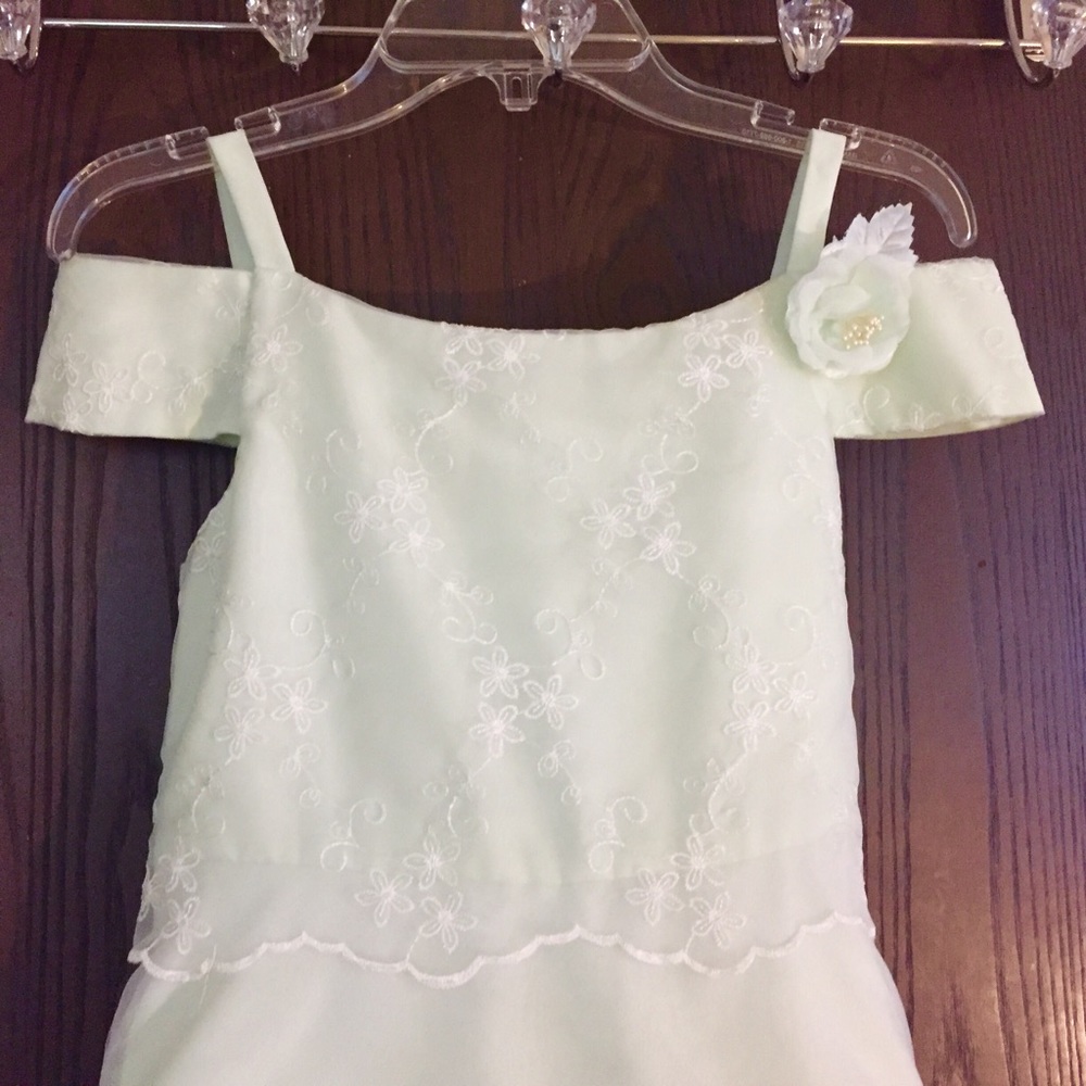 🎉Sale! Light sage green little girls fancy dress