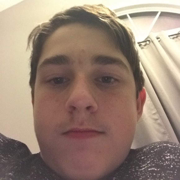 Meet your Posher, Bailey - Picture 1 of 1