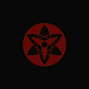 Meet your Posher, Armando