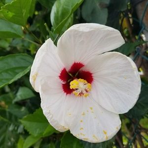 Meet your Posher, Annie