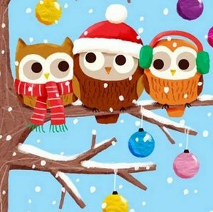 Meet your Posher, Erika