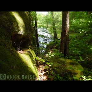 Meet your Posher, Annie