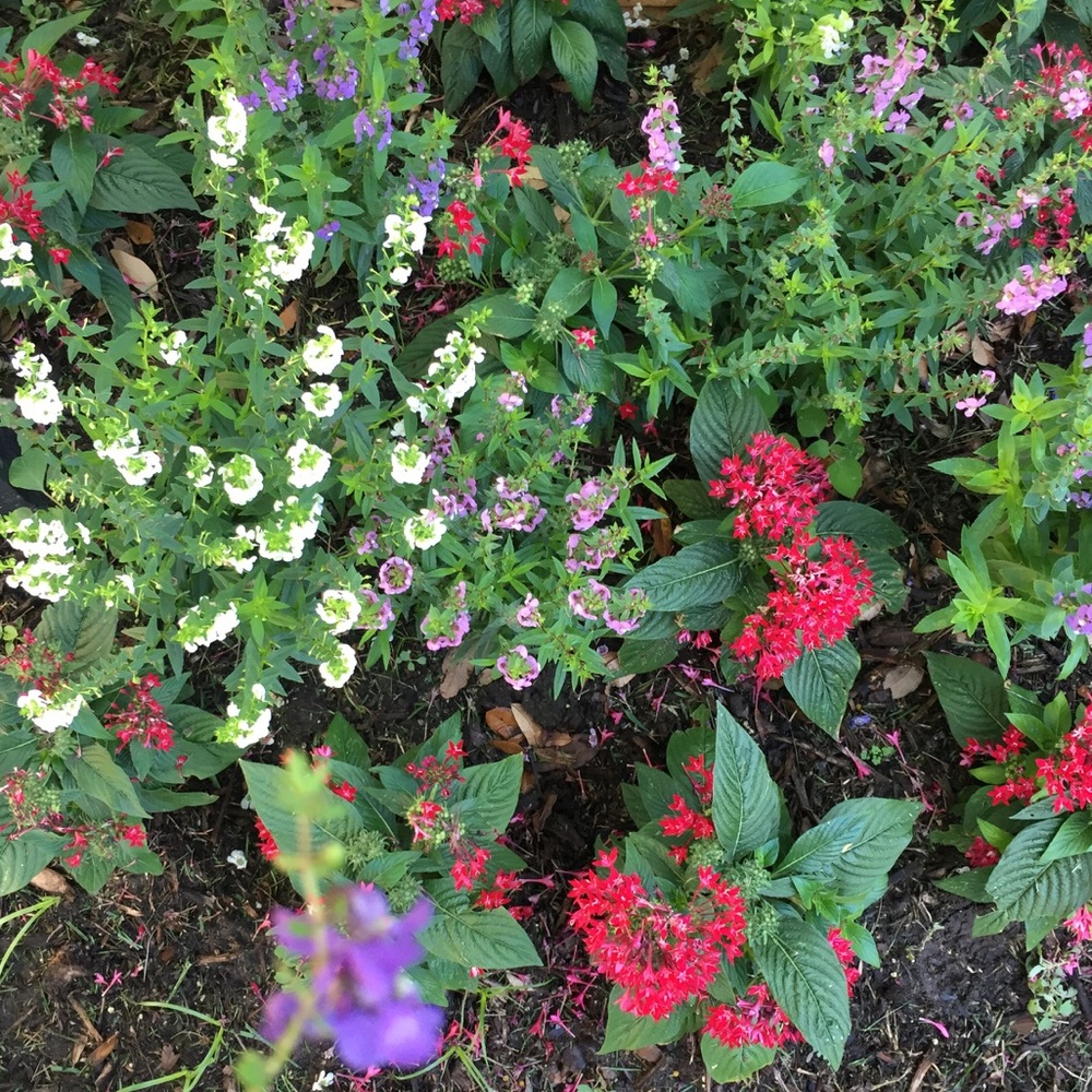 Meet your Posher, Emma