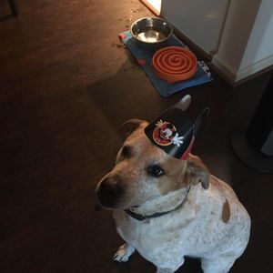 Meet your Posher, Bridgette