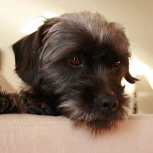 Meet your Posher, Jen