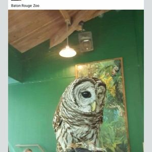 Meet your Posher, Abigail