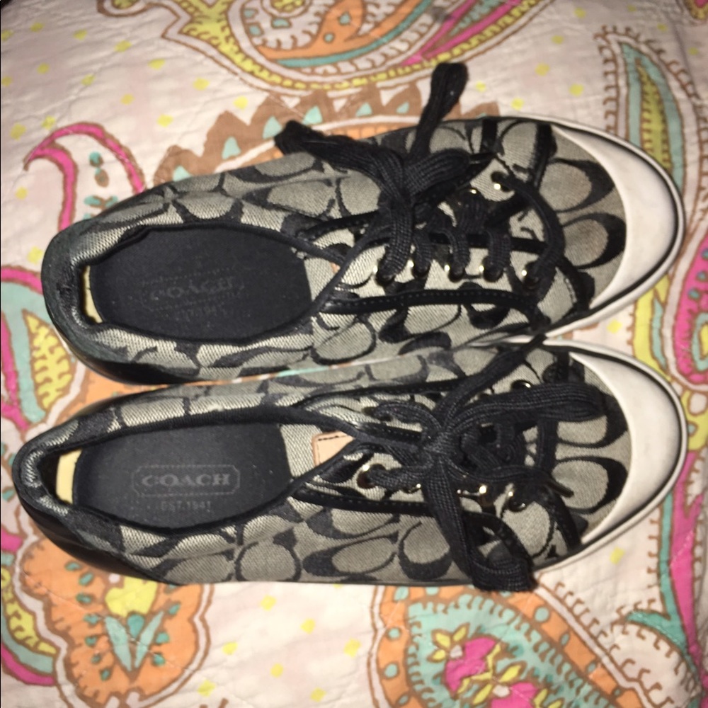Coach 6.5