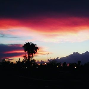 Meet your Posher, Jarrod