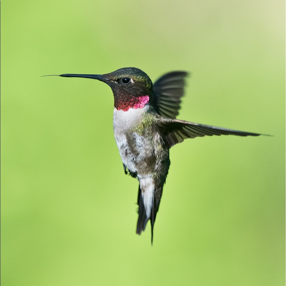 Meet your Posher, Maria