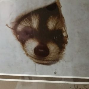 Meet your Posher, Elaine