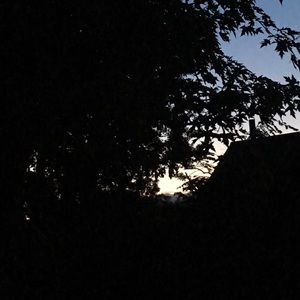 Meet your Posher, Eva