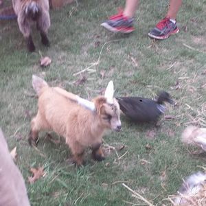 Meet your Posher, Aiza