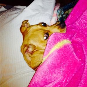 Meet your Posher, Davina